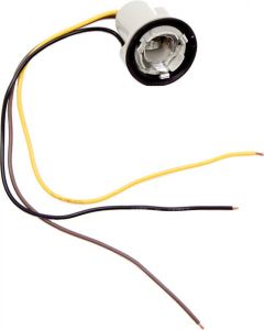 1969-81 Lamp Socket