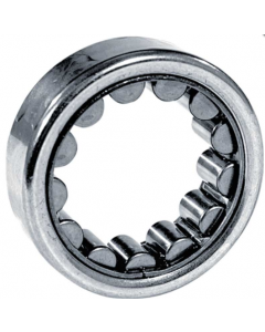 Axle Bearing (Rear)