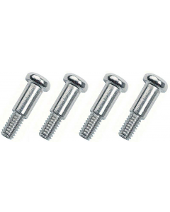 Park Lamp Lens Screws (Set of 4)