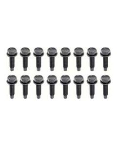 16 Piece Lower Door Hinge Bolt Set