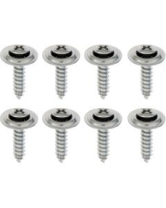 1967-69 Camaro / Firebird Door Panel Mounting Screw Kit