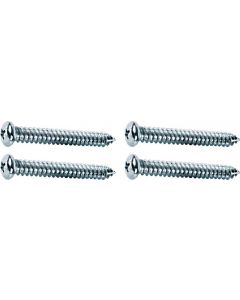 1968-69 Deluxe Door Panel Grab Screw (4 Pcs)